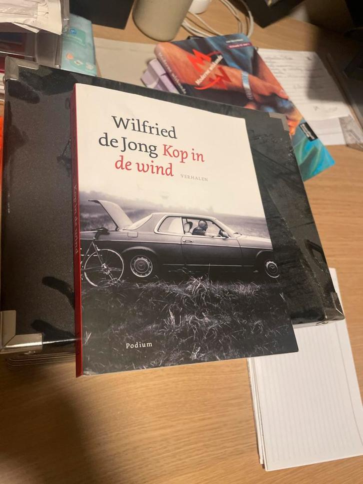 Wilfried de Jong - Kop in de wind, Boeken, Literatuur, Zo goed als nieuw, Ophalen of Verzenden