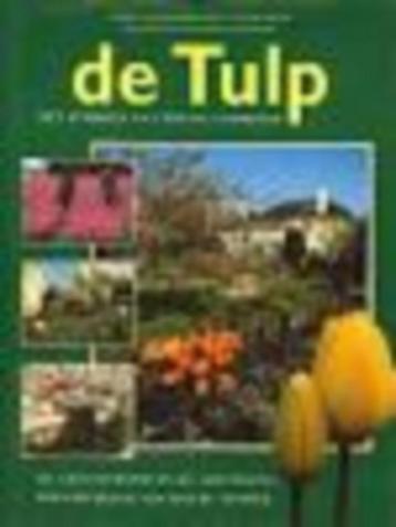 De tulp beschikbaar voor biedingen