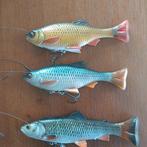 3x Savage Gear pulse tail trout en roach, Ophalen of Verzenden, Gebruikt, Overige typen