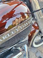 Harley davidson fatboy special, Chopper, Bedrijf, Info@harley.nl, Benelux