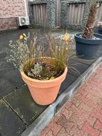 Mooie grote plantenbak, Tuin en Terras, Kunststof, Plantenbak, Rond, Ophalen of Verzenden