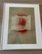 Kunstwerk in lijst 60x 40 cm met lijst, Minder dan 50 cm, Gebruikt, 50 tot 75 cm, Metaal of Aluminium