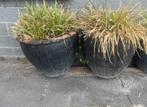 2 grote potten, Tuin en Terras, Ophalen, Gebruikt