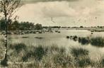 (301-381-031) Uffelte Meeuwenkolonie, Verzenden, Drenthe