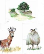 AK Nationaal Park Dwingelderveld - 3 x Heidelandschap, Verzenden, 1980 tot heden, Ongelopen, Natuur