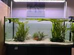 Aquarium 120x40x50 | 240l, Ophalen, Zo goed als nieuw, Leeg aquarium