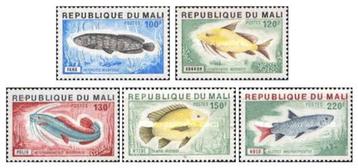 MALI 16 - Dieren: vissen beschikbaar voor biedingen