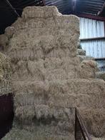 Hooi baaltjes, Dieren en Toebehoren, Dierenvoeding, Ophalen of Verzenden, Vee