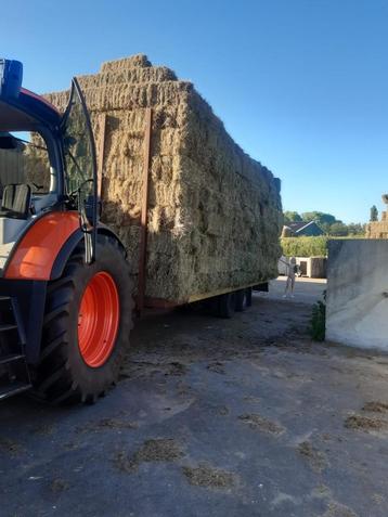 hooi beschikbaar voor biedingen