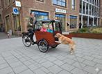 2dehands Babboe Big/Dog Bakfiets met toebehoren, Fietsen en Brommers, Fietsen | Bakfietsen, Gebruikt, Ophalen of Verzenden, 2 kinderen