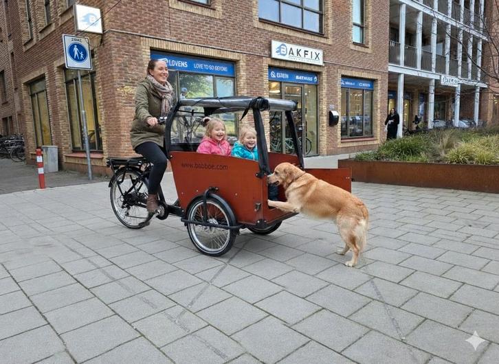 2dehands Babboe Big/Dog Bakfiets met toebehoren, Fietsen en Brommers, Fietsen | Bakfietsen, Gebruikt, Fietsfabriek, 2 kinderen