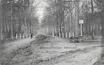 AK Ginneken, Breda - Boschwachterslaan Mastbosch, Verzenden, Voor 1920, Gelopen, Noord-Brabant