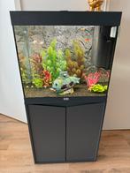 In nieuwstaat Aquatlantis 120, Dieren en Toebehoren, Ophalen, Zo goed als nieuw, Gevuld zoetwateraquarium