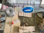 Hamster Kooi, Dieren en Toebehoren, Kooi, Minder dan 75 cm, Zo goed als nieuw, Hamster