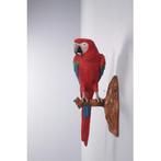 Red and Blue Macaw Parrot – Papegaai beeld Hoogte 67 cm, Nieuw, Ophalen