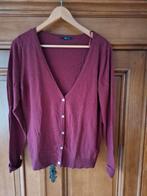 Bordeaux vest, Hema, XL, Maat 46/48 (XL) of groter, Ophalen of Verzenden, Zo goed als nieuw, Hema