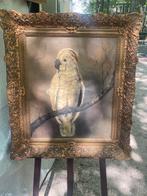 Olieverf Schilderij Kaketoe - Jaren '30, Ophalen of Verzenden