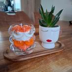 Sojakaars met succulentenset, Ophalen of Verzenden, Nieuw, Overige materialen, Minder dan 25 cm