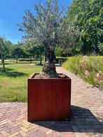 Corten 80x80 bloembak LAATSTE 2, Ophalen, Zo goed als nieuw, Metaal, Tuin