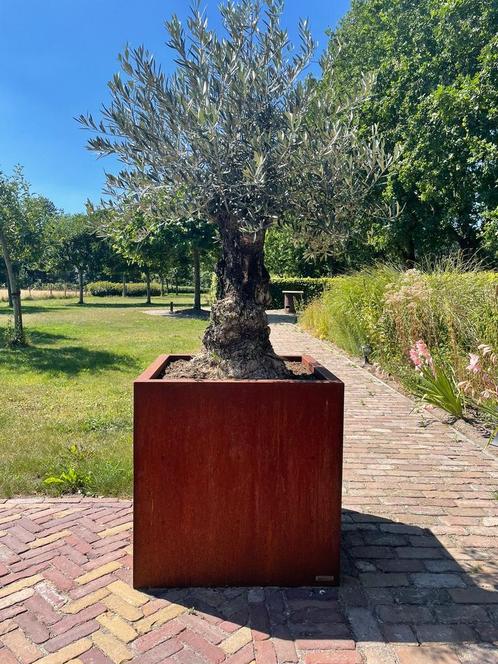 Corten 80x80 bloembak LAATSTE 2, Tuin en Terras, Bloembakken en Plantenbakken, Zo goed als nieuw, Metaal, Tuin, Ophalen