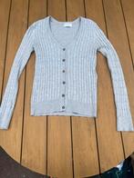 Grijze vest, The Sting, Ophalen of Verzenden, Maat 36 (S), Grijs