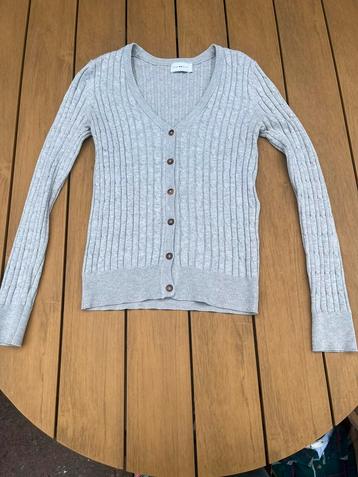 Grijze vest beschikbaar voor biedingen