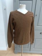 Today's men trui 100% lamswol maat M, Kleding | Heren, Truien en Vesten, Ophalen of Verzenden, Zo goed als nieuw, Bruin