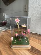 Terrarium insecten springspin roze kikkertje, Overige soorten