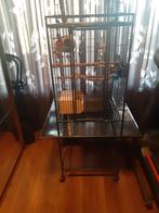 (Dwerg) papegaai kooi zwart, Ophalen, Zo goed als nieuw, Metaal, Vogelkooi