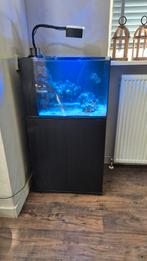 Waterbox Peninsula Mini 25 Set zwart - Zeeaquarium, Dieren en Toebehoren, Ophalen