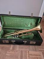 trompet amati kraslice, Ophalen of Verzenden