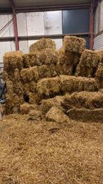 Kleine pakken stro, Dieren en Toebehoren, Dierenvoeding, Ophalen, Vee