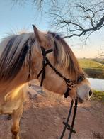 Hackamore Full bruin leer, Ophalen of Verzenden, Zo goed als nieuw, Recreatie