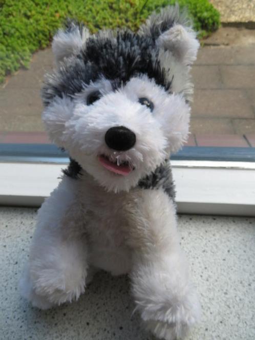 Hond Huskie Husky merk Paws meet ca 28 cm gestrekt, Kinderen en Baby's, Speelgoed | Knuffels en Pluche, Zo goed als nieuw, Hond
