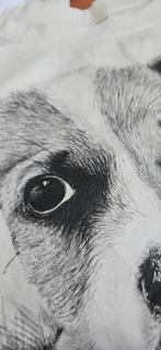 longsleeve 152 Zara met puppy, Ophalen, Meisje, Shirt of Longsleeve