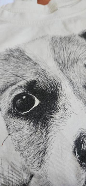 longsleeve 152 Zara met puppy beschikbaar voor biedingen