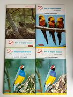 Rizla- Zo leer je vogels kennen - Rinke Tolman, Verzamelen, Ophalen of Verzenden, Zo goed als nieuw