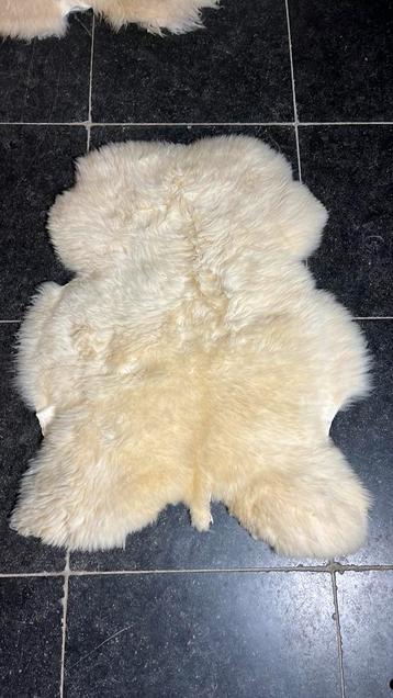 Witte Nederlandse Schapenvacht beschikbaar voor biedingen