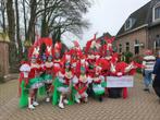Grote loopgroep carnavals optocht, Ophalen, Carnaval, Maat 46/48 (XL) of groter, Kleding