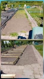 Tuinman/hovenier/tuinhulp gezocht/aangeboden, Diensten en Vakmensen, Tuinmannen en Stratenmakers, Garantie, Tuinonderhoud of Snoeiwerk