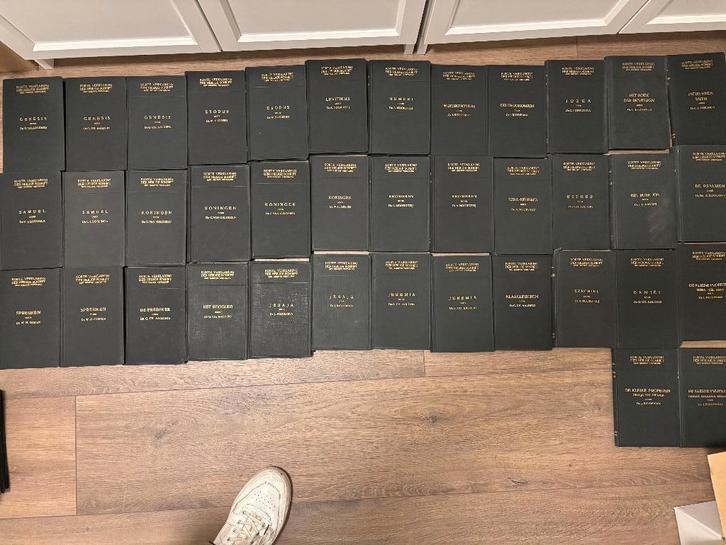 Bijbelstudie | Korte verklaring der Heilige Schrift | 60 st., Boeken, Godsdienst en Theologie, Gelezen, Christendom | Protestants