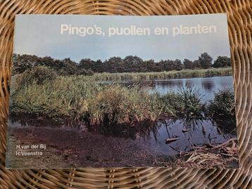 Pingo's, puollen en planten beschikbaar voor biedingen