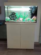 Aquarium Juwel wit, Dieren en Toebehoren, Ophalen, Zo goed als nieuw