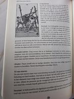 Tarot een open boek - Renée Maas, Achtergrond en Informatie, Tarot of Kaarten leggen, Ophalen of Verzenden, Zo goed als nieuw