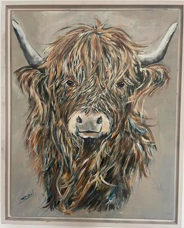 Schilderij Schotse hooglander  beschikbaar voor biedingen