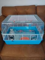 Grote hamsterkooi, L55, B35, H38, Kooi, Minder dan 75 cm, Zo goed als nieuw, Hamster