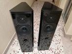 Prachtig Design * DRIADE * made in Holland, Zo goed als nieuw, 60 tot 120 watt, Front, Rear of Stereo speakers, Ophalen