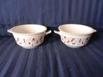 Twee schalen Fris Edam servies Jubilant Decor 500 9x23x18 cm, Ophalen of Verzenden