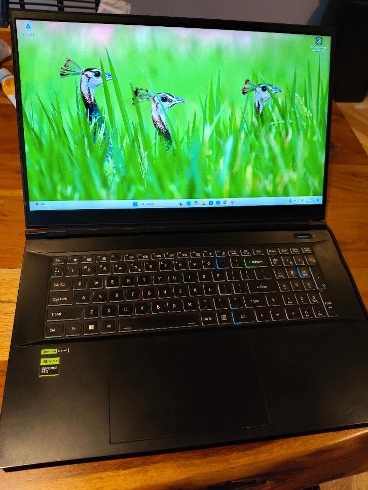BTO Gaming Laptop I9 64GB ram RTX4070, Computers en Software, Windows Laptops, Zo goed als nieuw, 15 inch, SSD, 4 Ghz of meer
