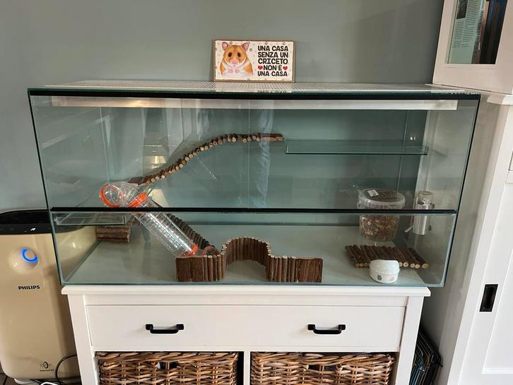 Glazen hamsterkooi 100x50x40cm met plateaus en accessoires, Dieren en Toebehoren, Knaagdieren en Konijnen | Hokken en Kooien, Zo goed als nieuw